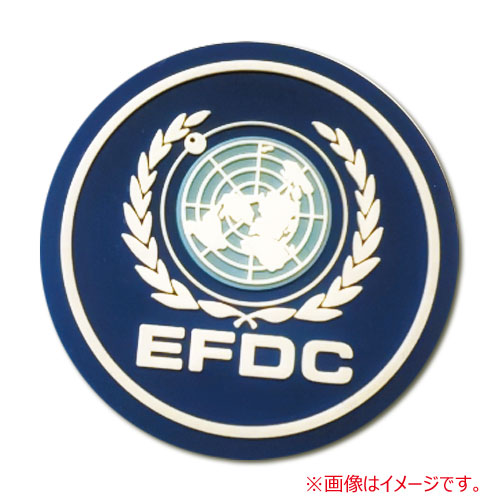 ヤマトよ永遠にREBEL3199_第三章　ラバーバッジ「EFDC」